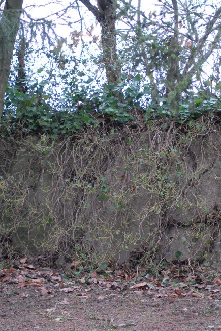 PASSIONE PER IL CERVO